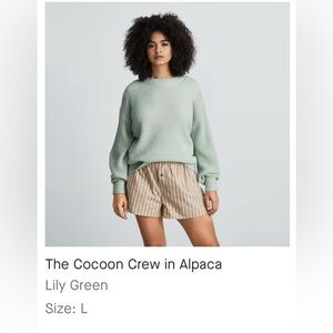 Everlane Crew Alpaca Sweater